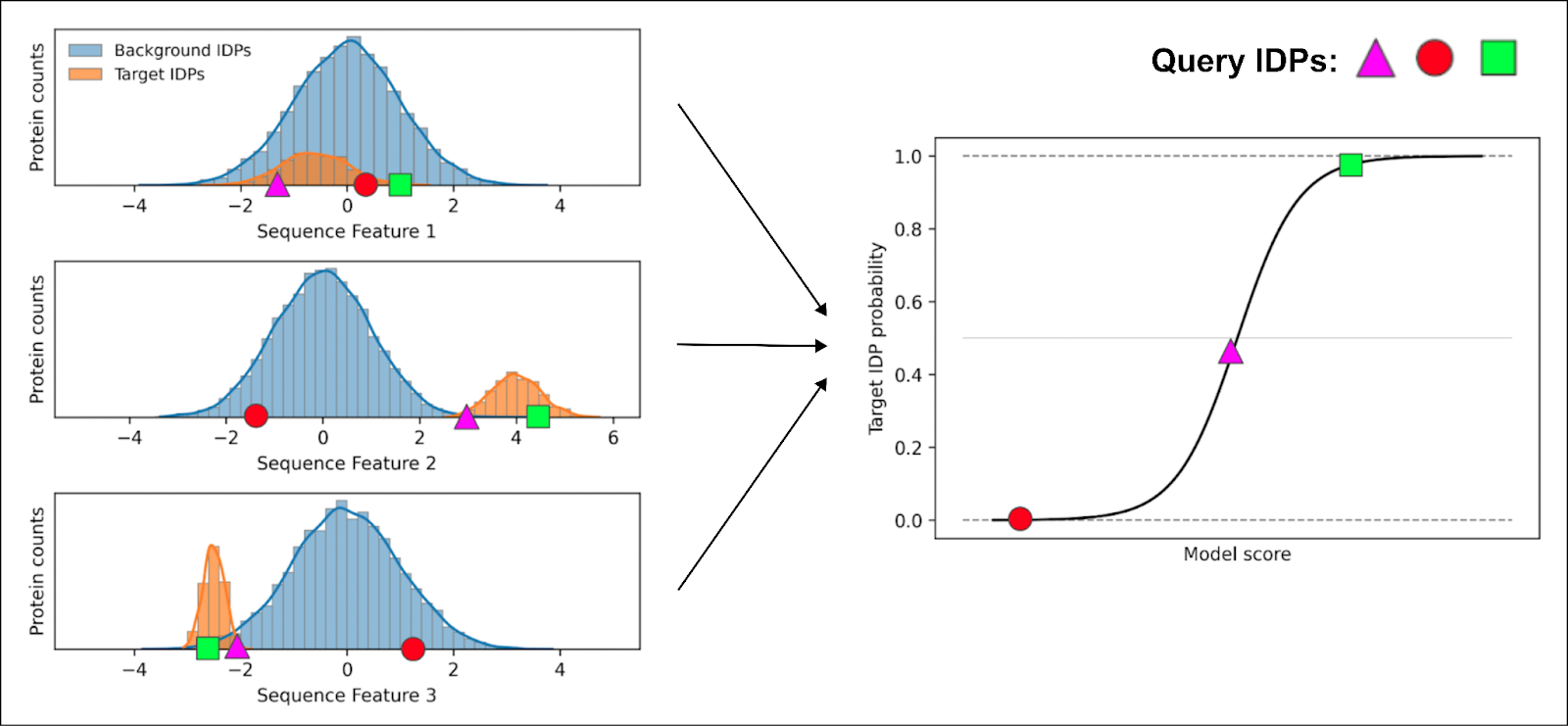 Predictive model of IDP class